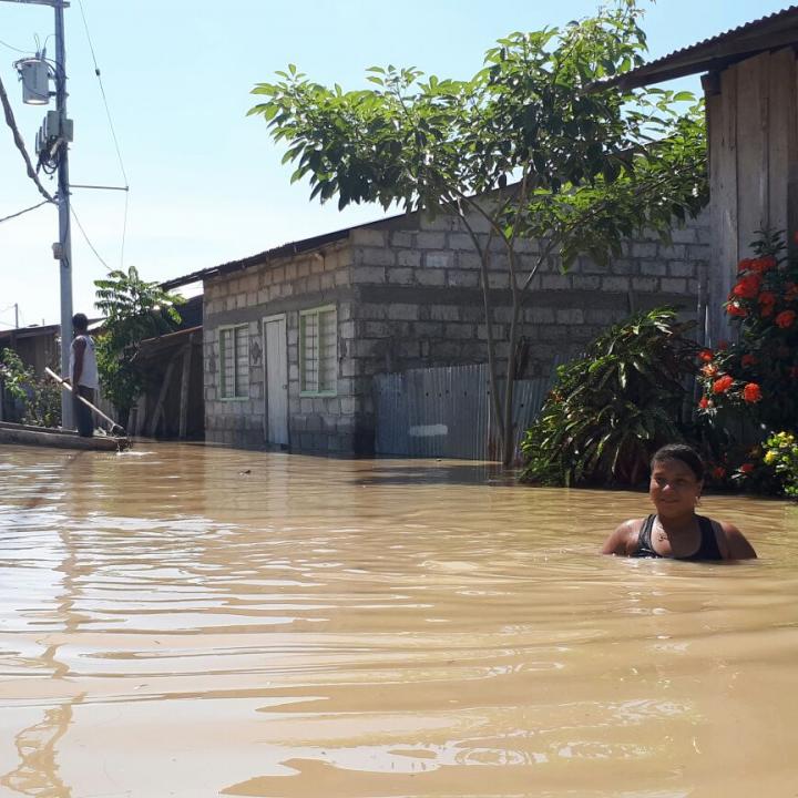 Foto: NP Noticias