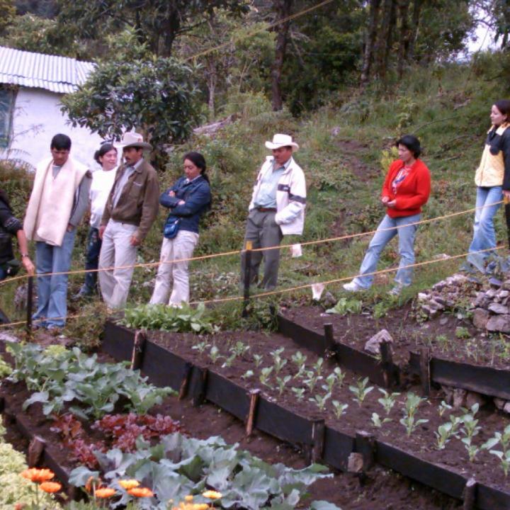 Foto: Alcaldía de Bogotá, 2013