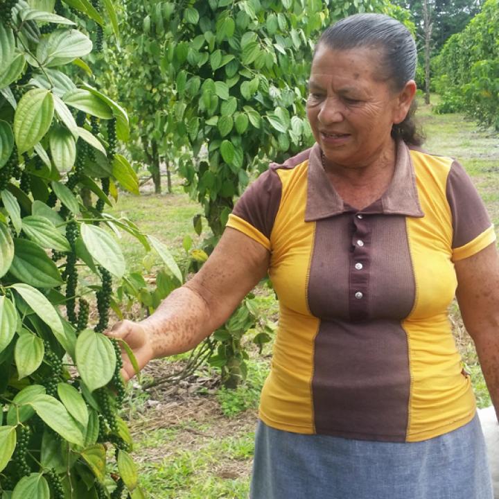 Foto: Unidad de Restitución de Tierras