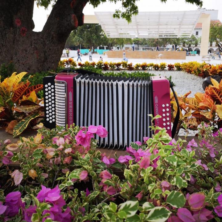 Foto: Alcaldía de Valledupar