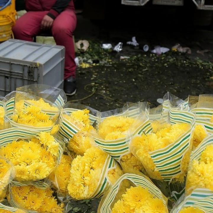Foto: Colprensa. Octubre 2018.