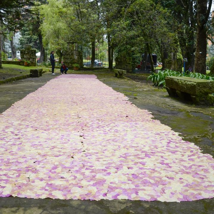 Foto cortesía: Santiago Mejía.