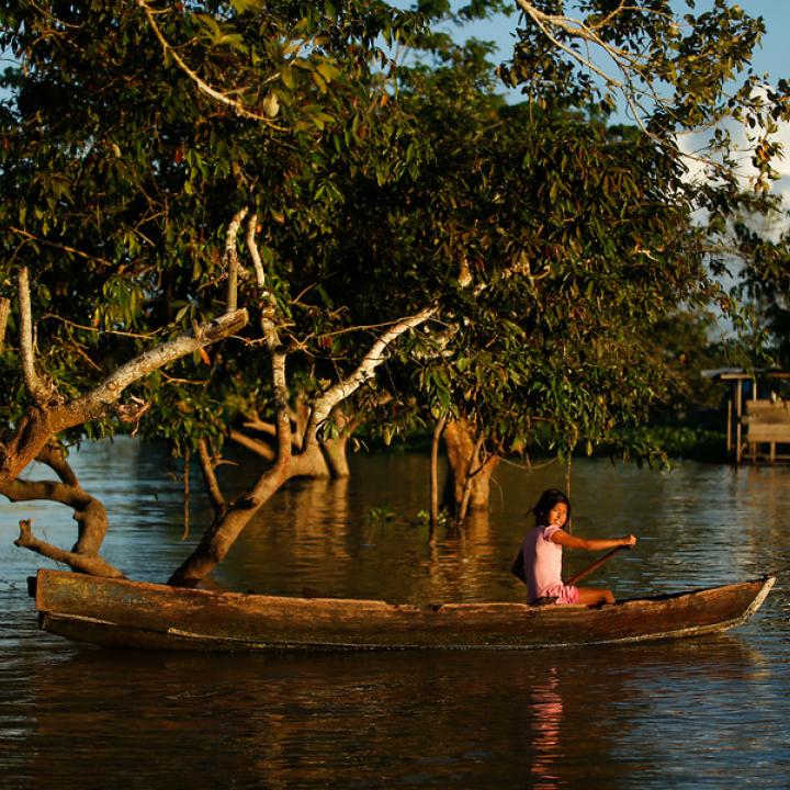 Resultado de imagen para medio ambiente