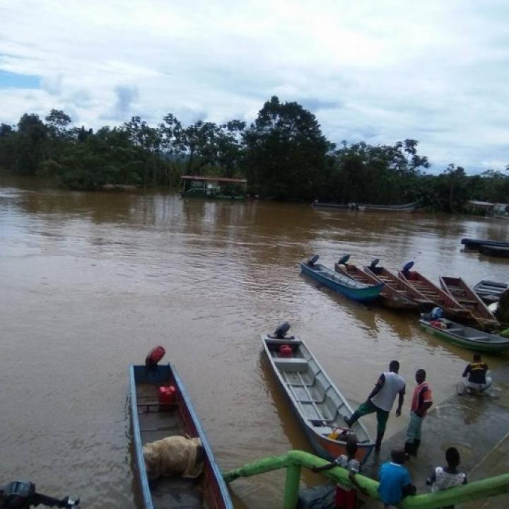 Foto. Diario del Sur