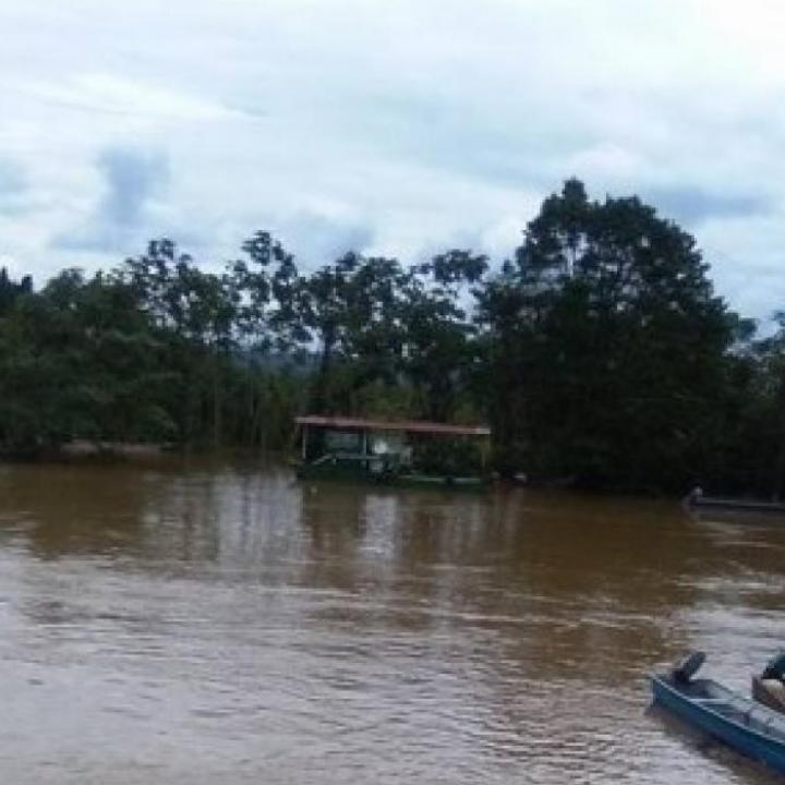 Foto: Diario del Sur