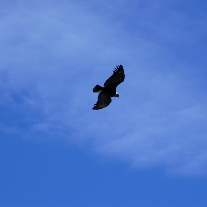 Foto: Jorge Sanabria.