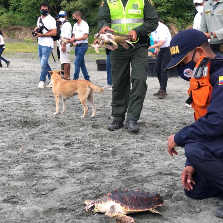 Foto: Armada de Colombia