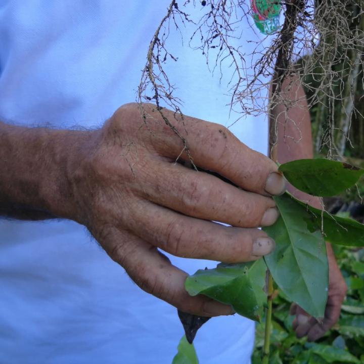 Foto: Miguel Ángel Cortés.