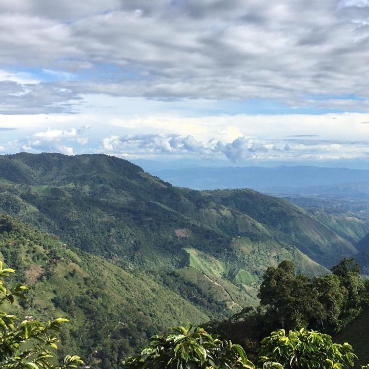 Foto:Jesús Díaz, periodista Radio Nacional de Colombia - Chaparral (Tolima).