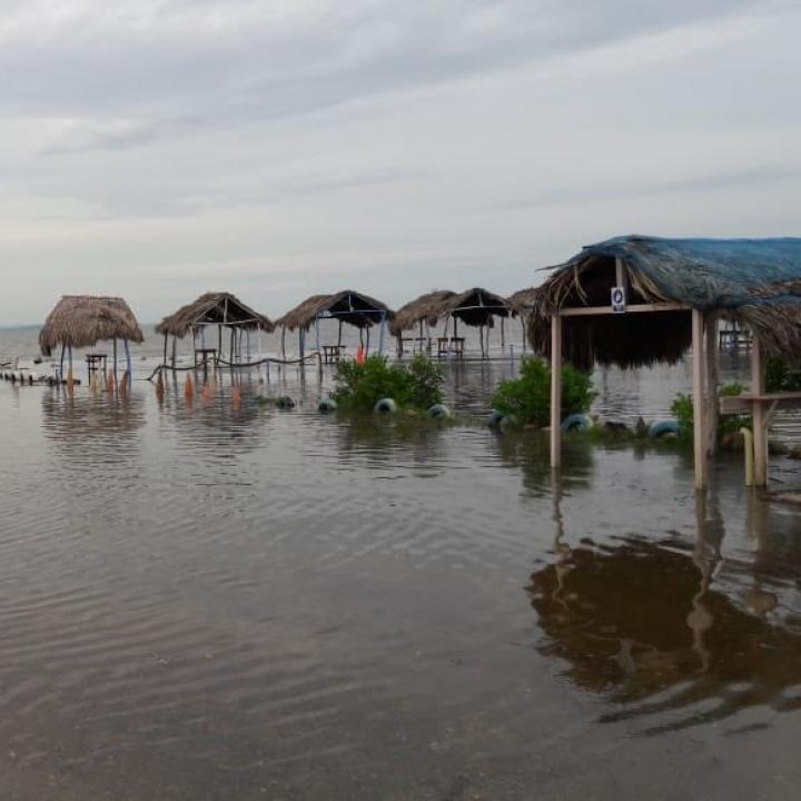 Créditos de las fotos: Corporación Regional Autónoma del Atlántico.