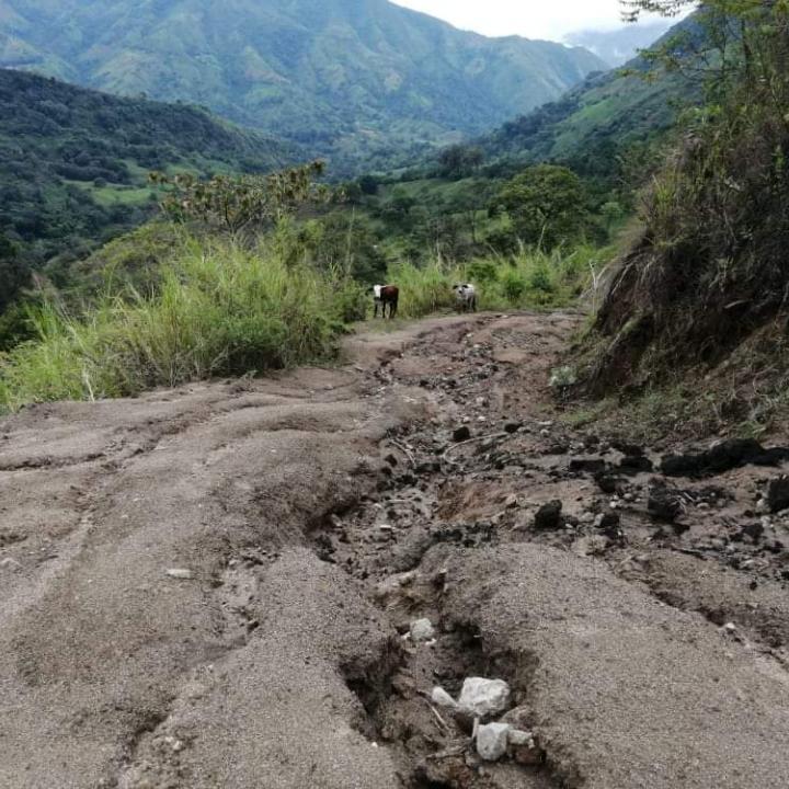 Foto: Alcaldía de Rioblanco